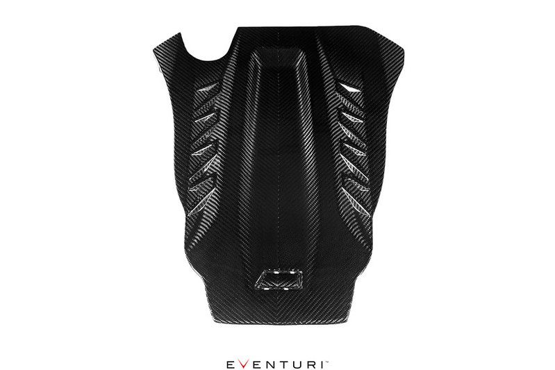 Intake system Carbon | fits BMW X5M/X6M/XM (F95/F96/G09) S68 | Eventuri