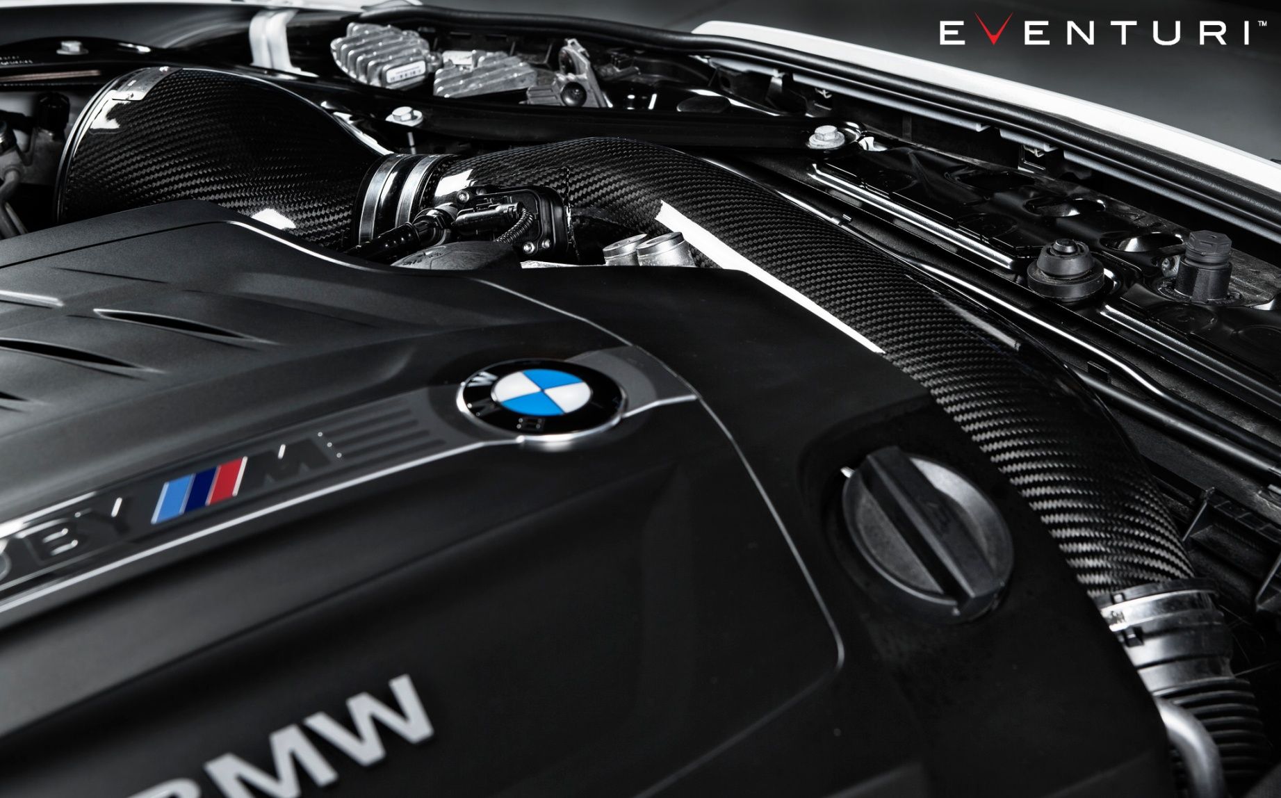Intake system Carbon | fits BMW M135i/M235i (F20/F22), 335i/435i (F30/F32), M2 (F87) N55 | Eventuri
