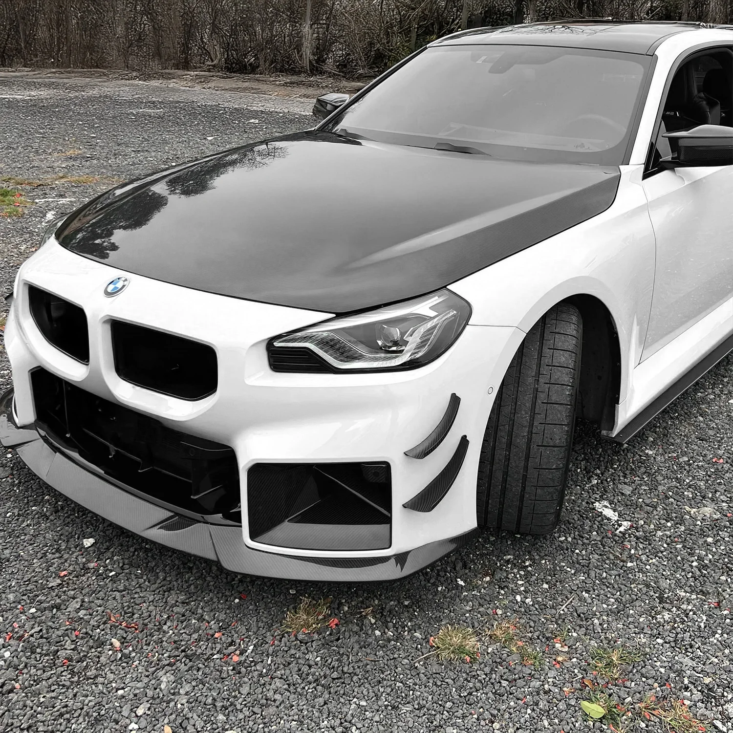 Canards Carbon | fits BMW M2 (G87) S58 | Aulitzky Tuning